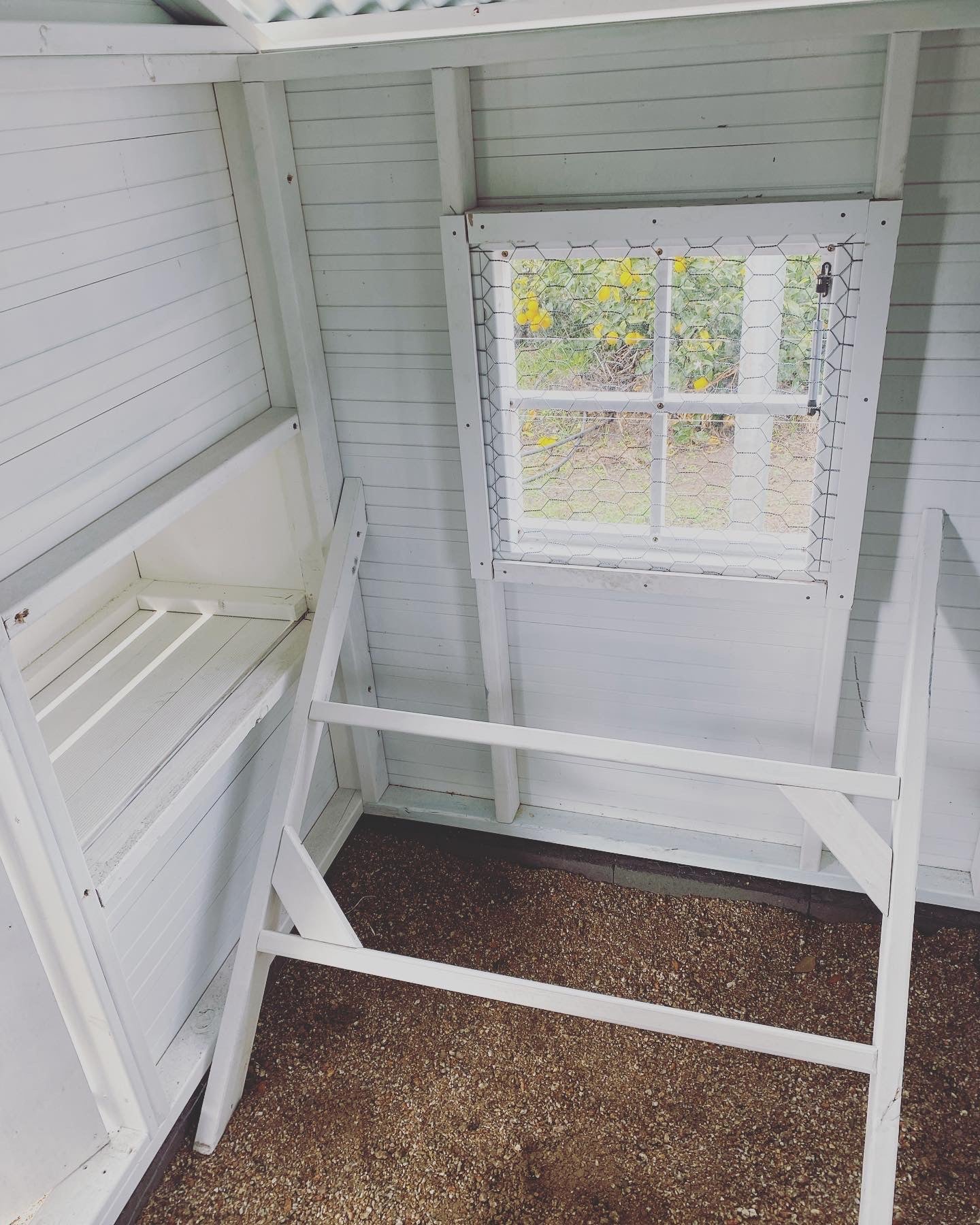 Deluxe Hamptons Hen House