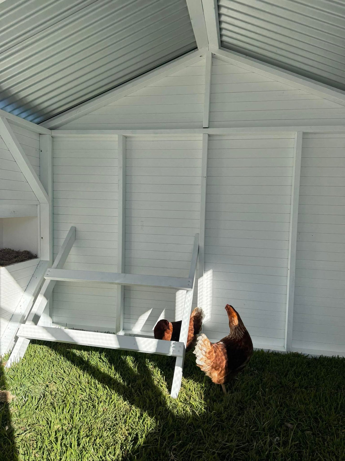 Hamptons Hen House