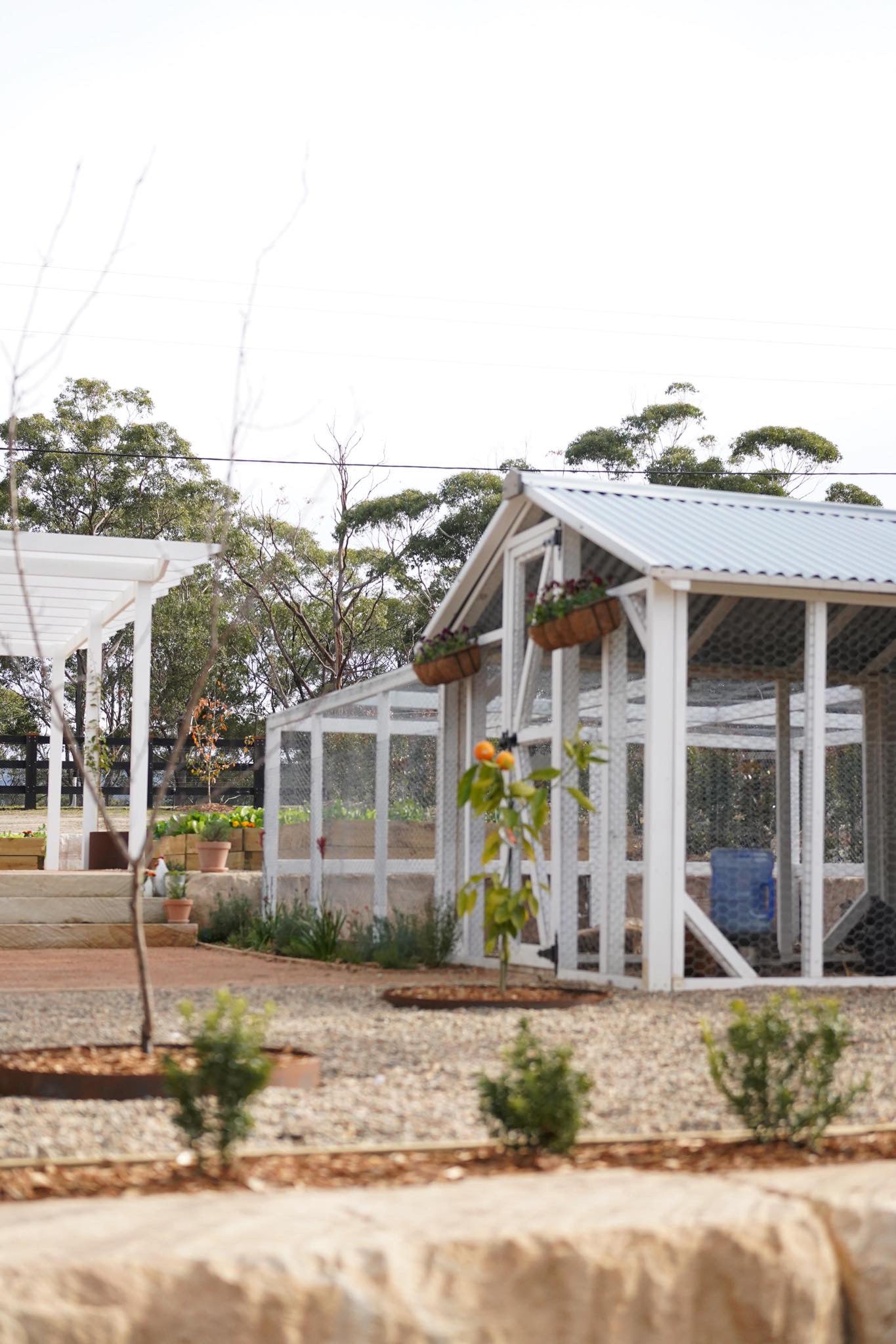 Animal Enclosures