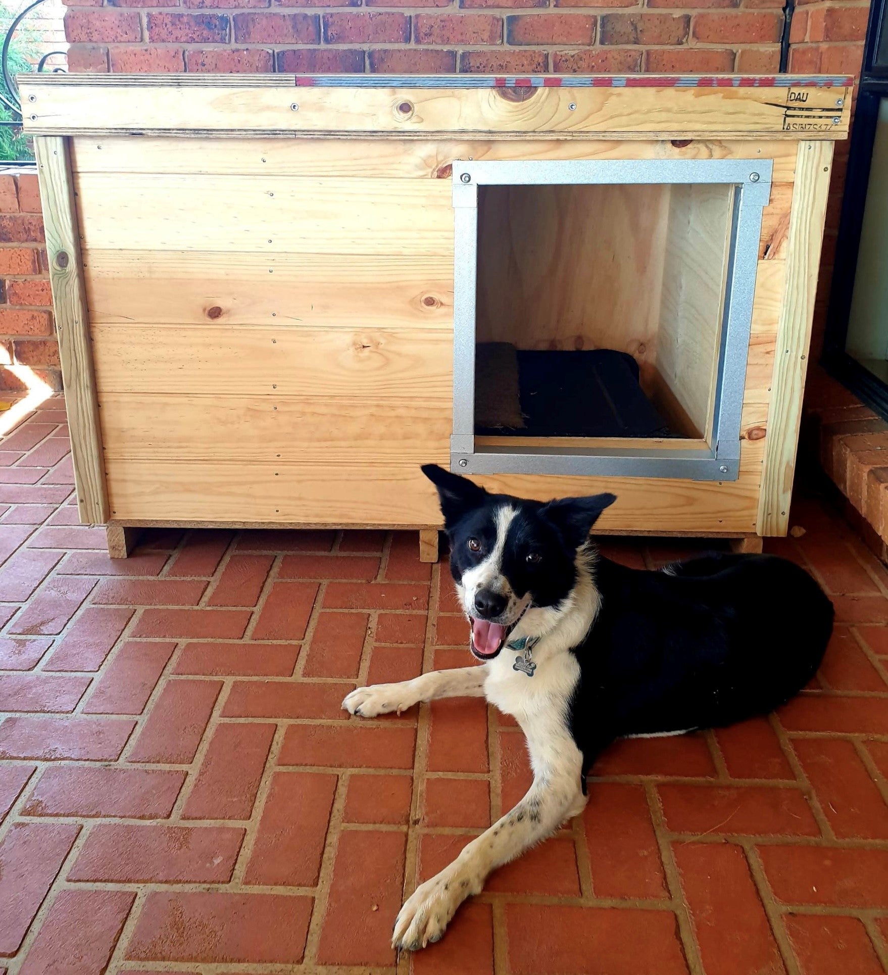 Dog Kennel