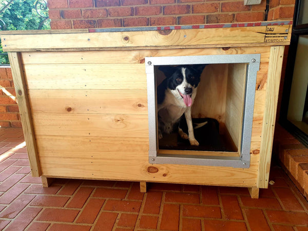 Dog Kennel