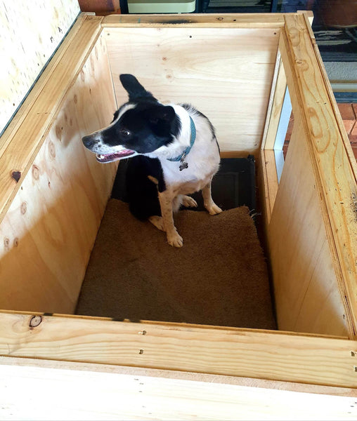 Dog Kennel