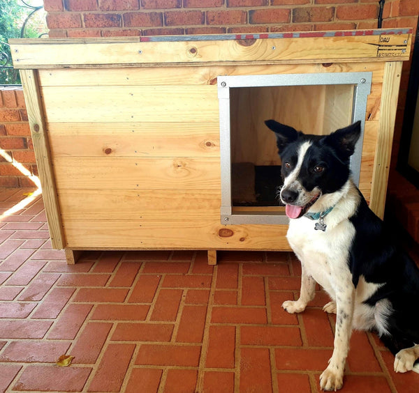 Dog Kennel
