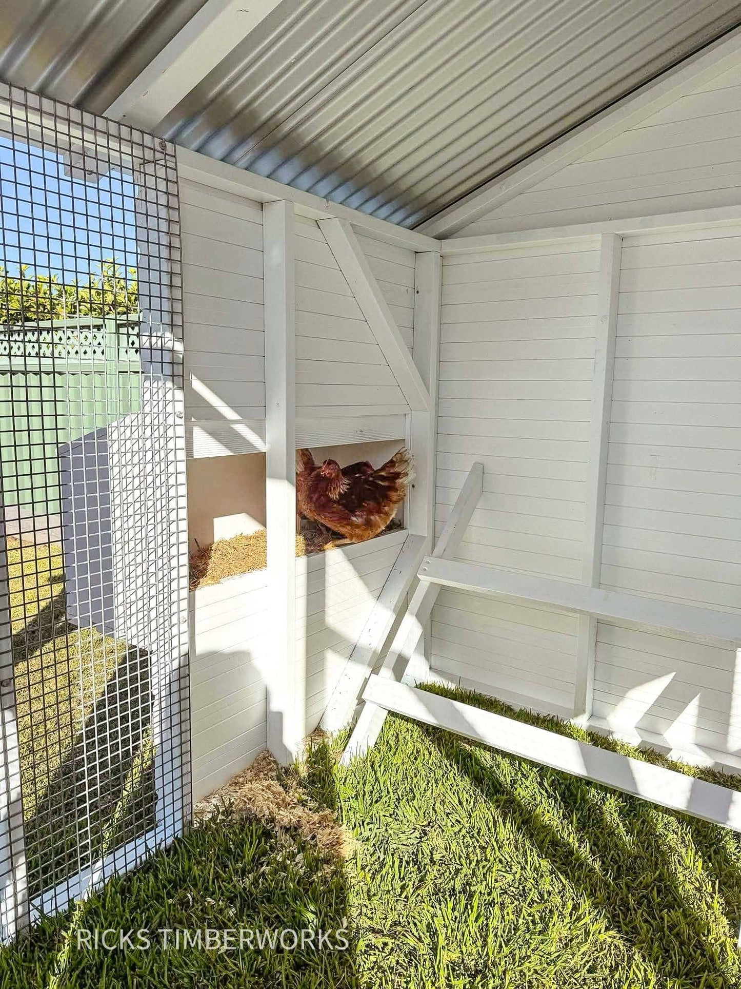 Hamptons Hen House