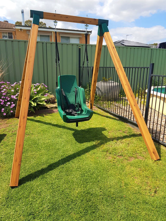 All Abilities Swing with Harness