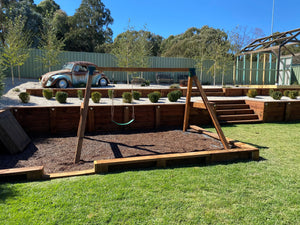 Double Swing Set