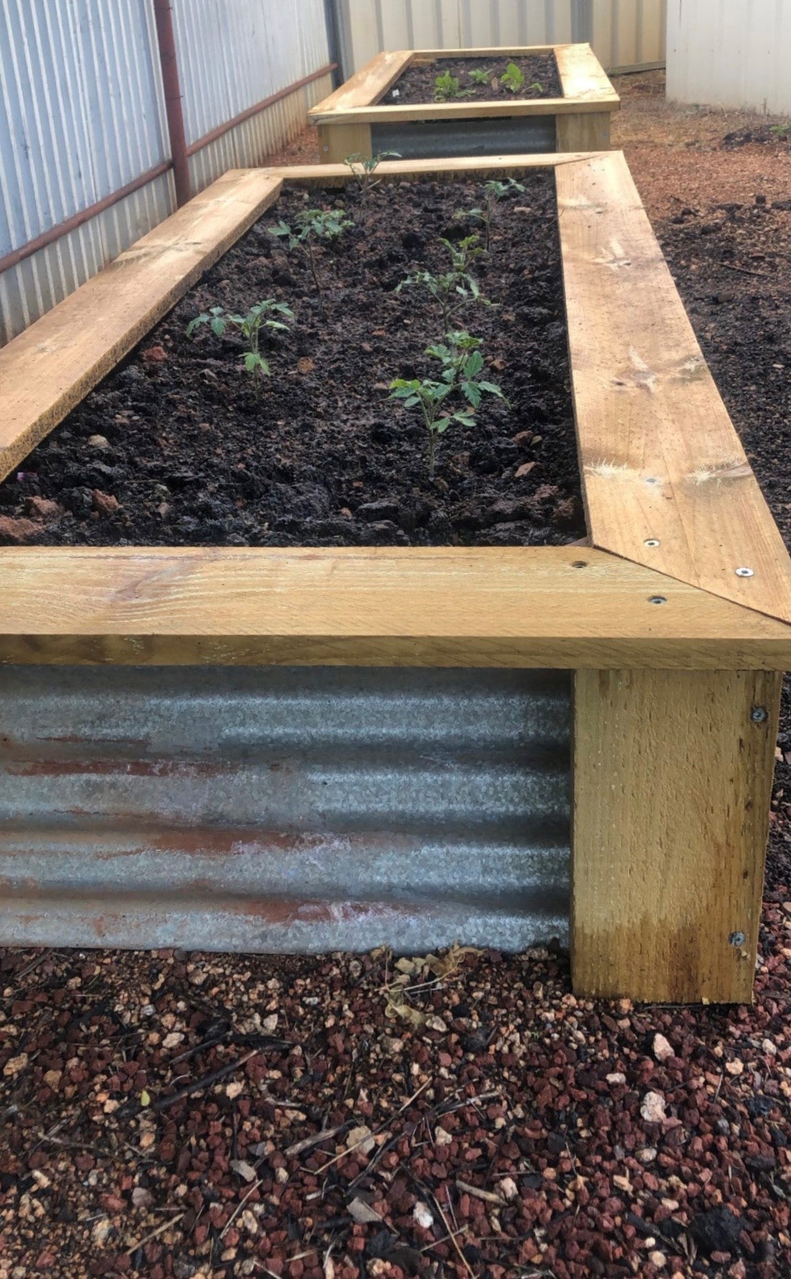 Garden Beds