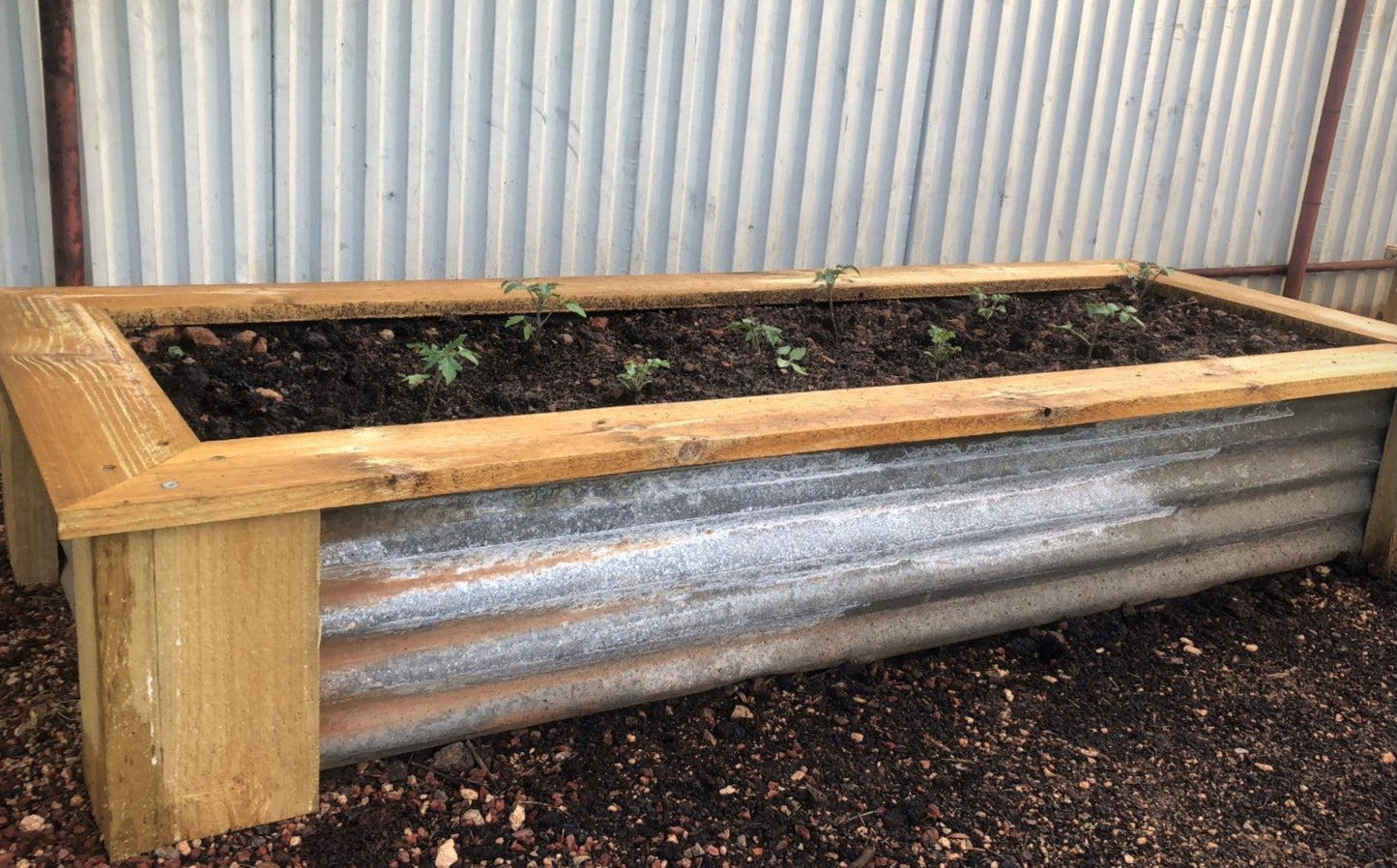Garden Beds