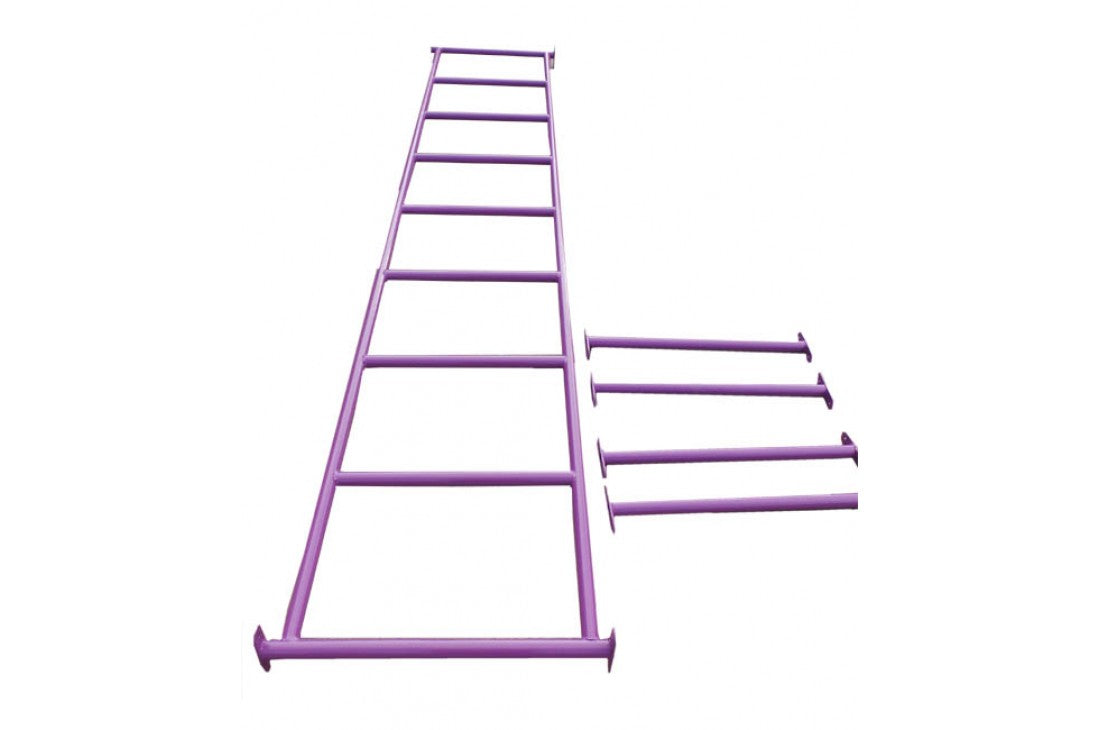 Monkey Bars PURPLE With Step Rails