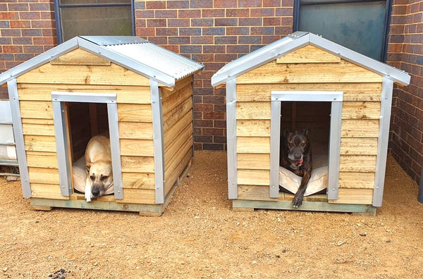 XL Heavy Duty Dog Kennel